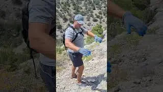 как самые умные....