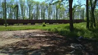 ВЛ80т заходит на станцию на красный