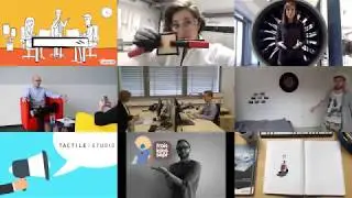 Das V.I.E-Programm aus Sicht der Kandidaten