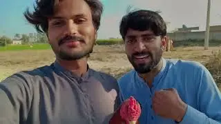 4th Vlog (kookar Baaz or Khooti baaz) #funnyvideo video #funnyvlogs #funnyshorts #prankvlogs