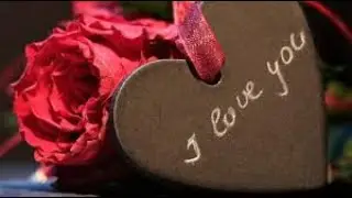 Happy Valentine's Day 2021 | ❤️ Valentine Rose Day Status | Love Propose day Status video ❤️ #shorts