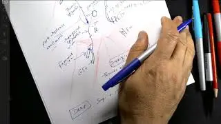 Blood and nerve supply of abdominal wall