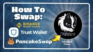 How to Swap TruBadger Token on PancakeSwap with Trust Wallet