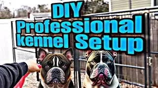 DIY Dog Kennel Makeover: No more poop in our yard!