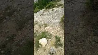 Крепость Каламита#, Инкерман#, Охотники за легедами#