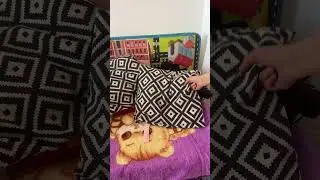 Room cleaning/Motivation/ Уборка комнаты / мотивация/ Мама в декрете
