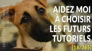 J'AI BESOIN DE VOTRE AIDE [18/365]