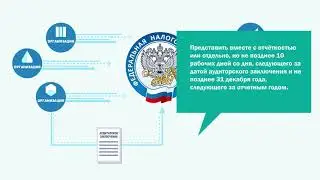 Бухгалтерская (финансовая) отчетность