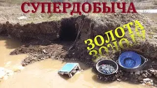 Вот это я залетел!!! Золота море...
