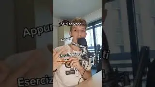 COME SOPRAVVIVERE A SCUOLA - parte 8