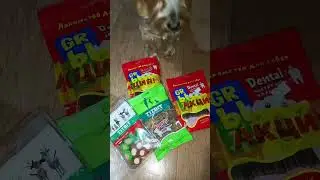 Есть что погрызть! Покупки для нашей Дези! #shorts