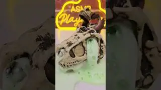 MGA GrossMos Dinos #asmr #grossmos #dinosaur
