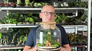 Jak wykonać las w słoiku MIKROKLIMAT? Prezentacja krok po kroku. How to do it - FOREST IN THE JAR?