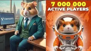 Hamster kombat КАК СОБРАТЬ КОМБО КАРТЫ? Я СОБРАЛ ВСЕ КОМБО КАРТЫ + БОНУС В ВИДЕО