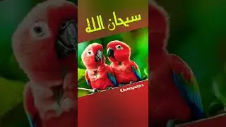 Beautiful Macaw parrot Chicks #shorts #creative #shortsvideo #Ai #ytshorts