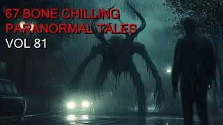 67 Bone Chilling Paranormal Tales Unleashed | Vol 81