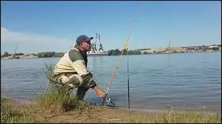 Приехал за судаком, но ловились одни окуньки.