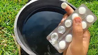 1 tablet per bucket of water and the soil is like new! Water the soil with this for a bountiful harv