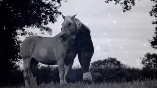 I'm leavin' my life in your hands (Rip)