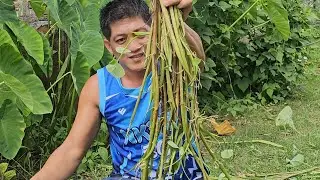 SPICY ADOBONG DALUDAL SA GATA | PAGKAING BUKID | OUTDOOR COOKING |Team AgustinTV