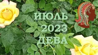 ДЕВА | Послания Вселенной на ИЮЛЬ 2023 года | ЖЕЛАНИЕ | ТАРО расклад