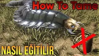 Böcek Savarsız Kırkayak Eğitmek Taming Bug Withouth Bug Repelalant
