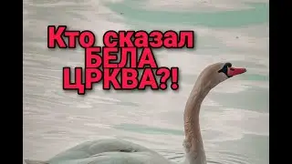 Что посмотреть в Сербии - Бела Црква