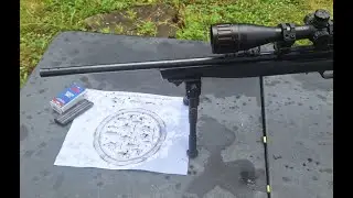 BUDGET .22LR DAYATTHERANGE FISH IN A BARREL CHALLENGE 50 YARDS
