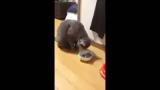 Ну, наглость так наглость!