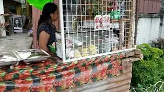 보라카이 깔리보 공항 주위 (2) - 가르시아 기술대학교 [boracay][kalibo][garcia][philippine]