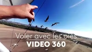 360 VIDEO EXPERIENCE. Voler avec Christian Moullec et ses oies