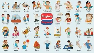 Learn 145 Common Verbs in English Fast and Easy