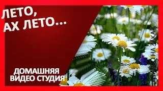 Лето, ах лето...