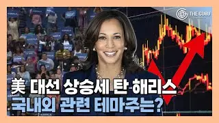 美 대선 테마주 광풍 따라 상승세 탄 해리스 국내외 테마주는?