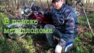 В поисках металла!!!