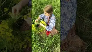 #Троица #Песня "Ты завейся, береза" (деревня Глебово Орехово-Зуевского района Московской области)