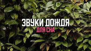 5 Часов успокаивающий звук дождя для сна с легким громом.