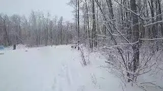 Антошин Александр и его четверка и двойка