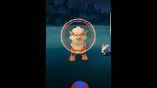Desperate Times for Arcanine