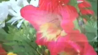 11.Имена Аллаха - Зуль Джеляли Вель Икрам.