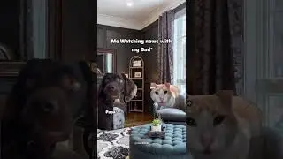 Dad and Kid