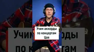 Звезда по имени солнце: как Цой ставит аккорды на гитаре? 🎸💥🤟 #гитараснуля #гитарауроки