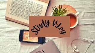 My Study VLog | How I study? | Aesthetic (Kinda) ✨