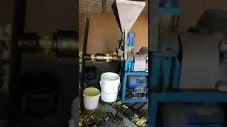 Oil press PS-60