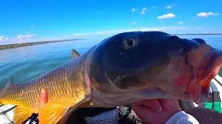 ВОТ ЭТО ДА!!! ПОВЕЗЛО ТАК ПОВЕЗЛО! 💥 ЛОВЛЯ СОМА НА КВОК