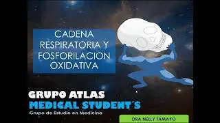 CADENA RESPIRATORIA - ACTUALIZADO