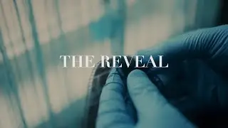 The Reveal | Shot on BMPCC4K