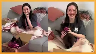 NEW PUPPY SURPRISE COMPILATION 2024 | WHOLESOME SURPRISE MOMENTS