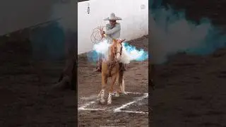 Why Cowboy's Produce So Much Smoke 😳#shorts