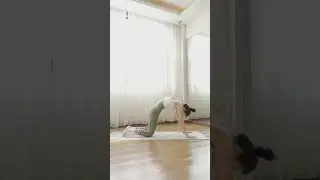 Yoga Flow